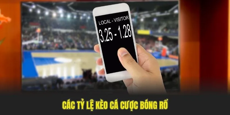 Các tỷ lệ kèo cá cược bóng rổ