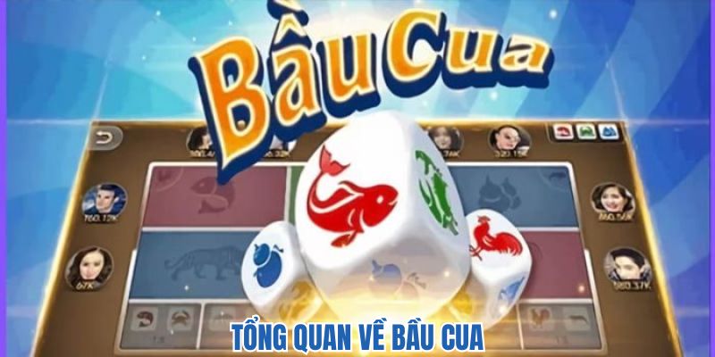 Thông tin bầu cua cần nắm