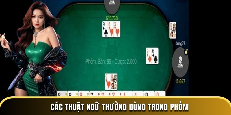 Các thuật ngữ thường dùng trong Phỏm