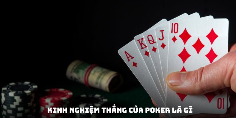 Thuật ngữ hội viên cần thuộc lòng trước khi chơi